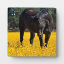 Search for bay plaques Horse