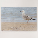 Search for gull puzzles Ocean