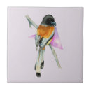Search for oriole Birds