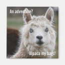 Search for alpaca magnets Travel
