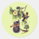 Search for orioles stickers Bird