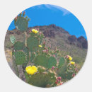 Search for saguaro national park stickers Southwest