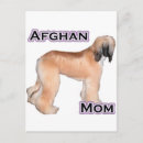Search for afghans postcards Dog