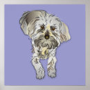 Search for maltipoo posters Pet