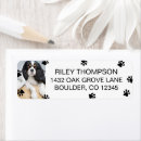 Search for cat paws return address labels Black and white