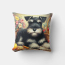 Search for schnauzer cushions Puppy