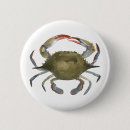 Search for shellfish badges Coastal