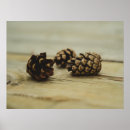 Search for pinecones posters Rustic