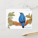 Search for watercolor bird postcards Wildlife