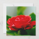 Search for symbol photography Flowers
