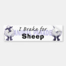 Search for sheep bumper stickers Animals