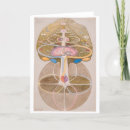 Search for knowledge cards Hilma af klint