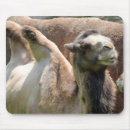 Search for hump mousepads Animal