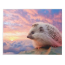 Search for hedgehog notepads Nature
