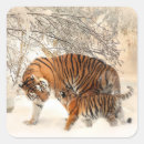 Search for tiger baby stickers Snow