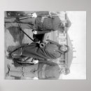 Search for plentiful posters Photograph