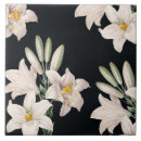 Search for dramatic tiles Beautiful