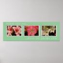 Search for easter flowers posters Garden