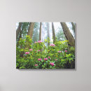 Search for rhododendrons art Landscape