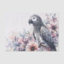 Search for congo grey Bird