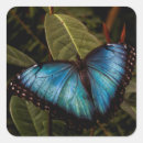 Search for blue winged butterfly stickers Animal