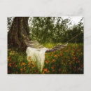 Search for flower meadow postcards Summer