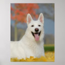 Search for furrie posters For her