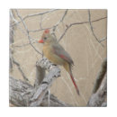 Search for cardinal tiles Orange