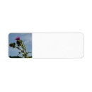 Search for field return address labels Summer