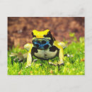Search for dendrobates Arrow frog