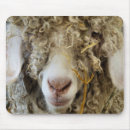 Search for funny goat mousepads Goats