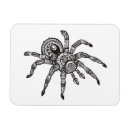 Search for spider magnets Mandala