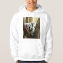Search for koala hoodies Bear