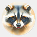 Search for animal face stickers Racoon