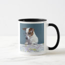 Search for study mugs Humour
