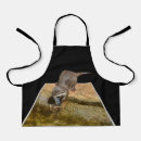 Search for otter aprons Animal