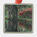 Search for flora christmas tree decorations Landscape