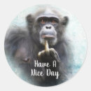 Search for chimpanzees cards invites Ape
