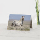 Search for appaloosa christmas cards Equine