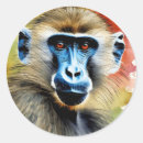 Search for baboon monkey stickers Primate