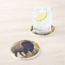 Search for buffaloes coasters Animal