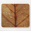 Search for autumn mousepads Background