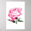 Search for flower illustration posters Drawing