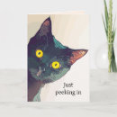 Search for peek cards Kitty