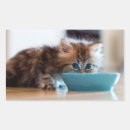 Search for young animal stickers Photography