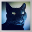 Search for whisker art Cats