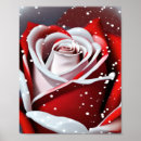 Search for winter roses posters Red rose