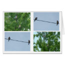 Search for everyday photography Nature