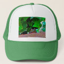 Search for frog hats Nature