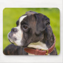 Search for bullies mousepads Puppies